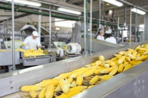 AGRO-INDUSTRY