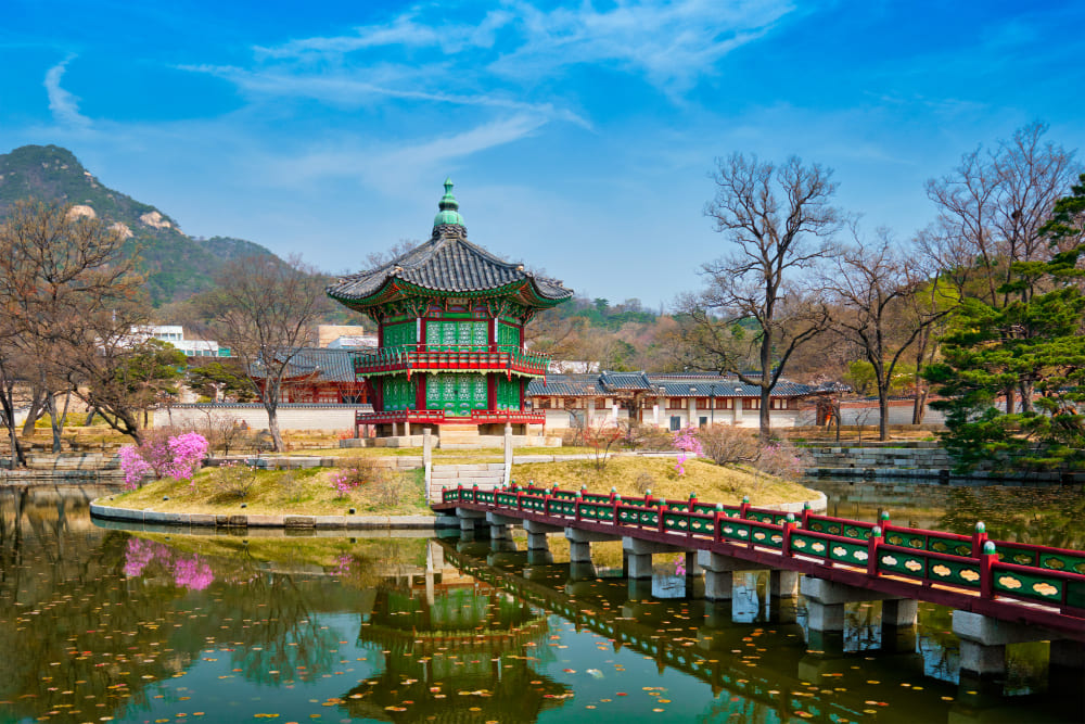 coreano
