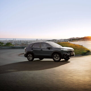 GALLERY-S-CROSS-7